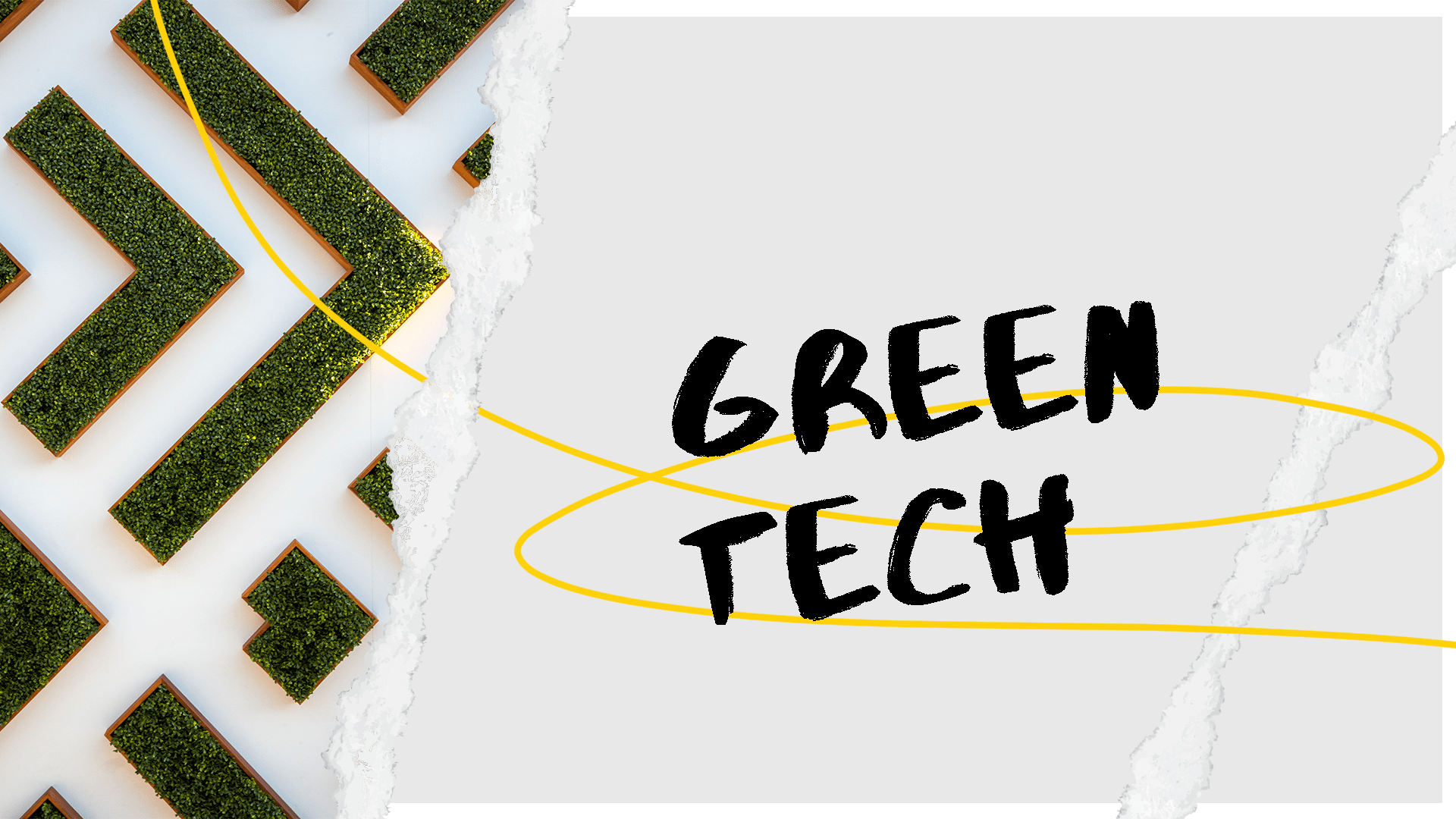 Greentech apps RebelDot